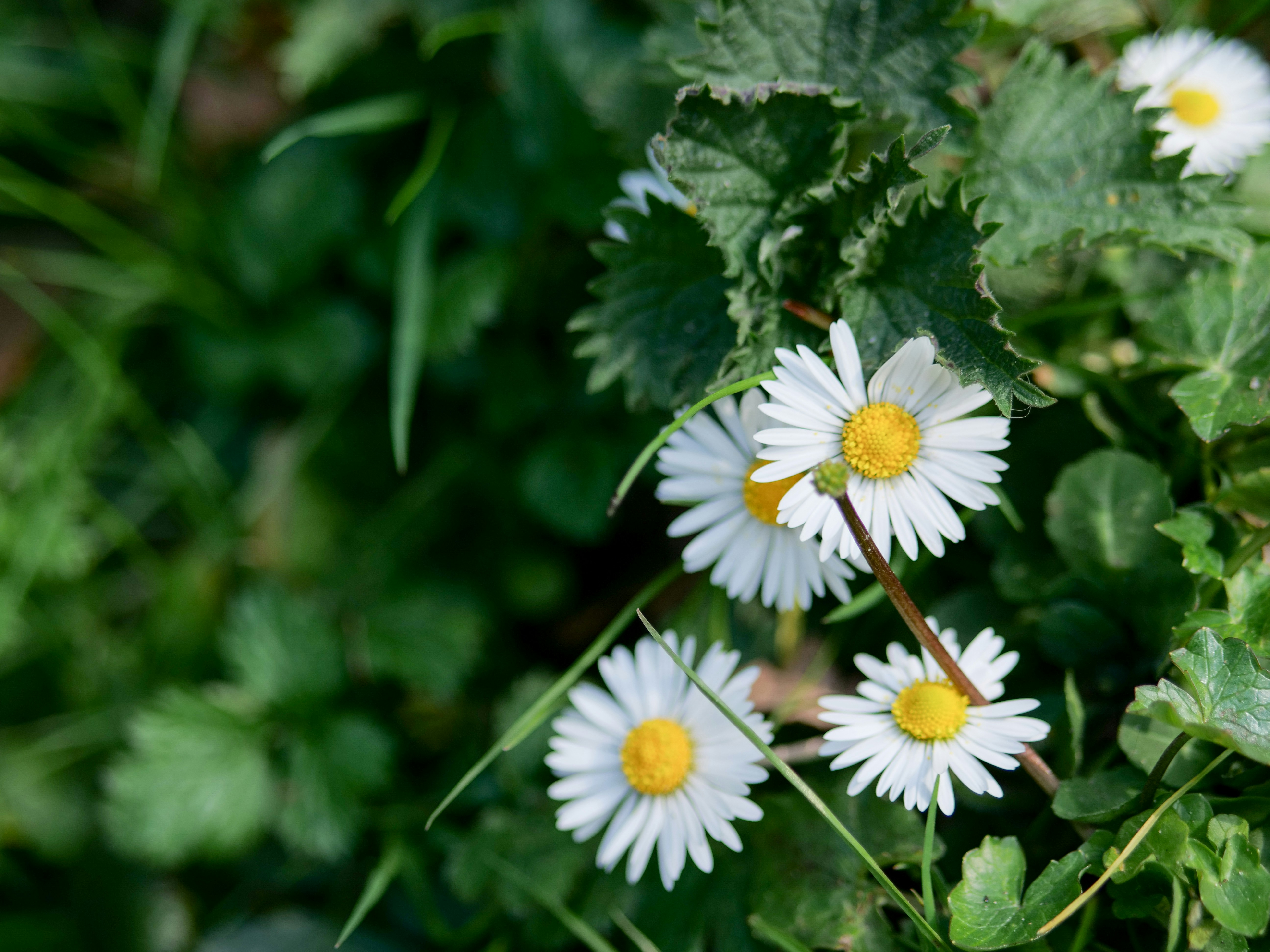 Photo by mira_vanderveen