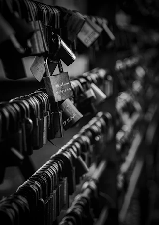 grayscale photography of padlock on wire fence