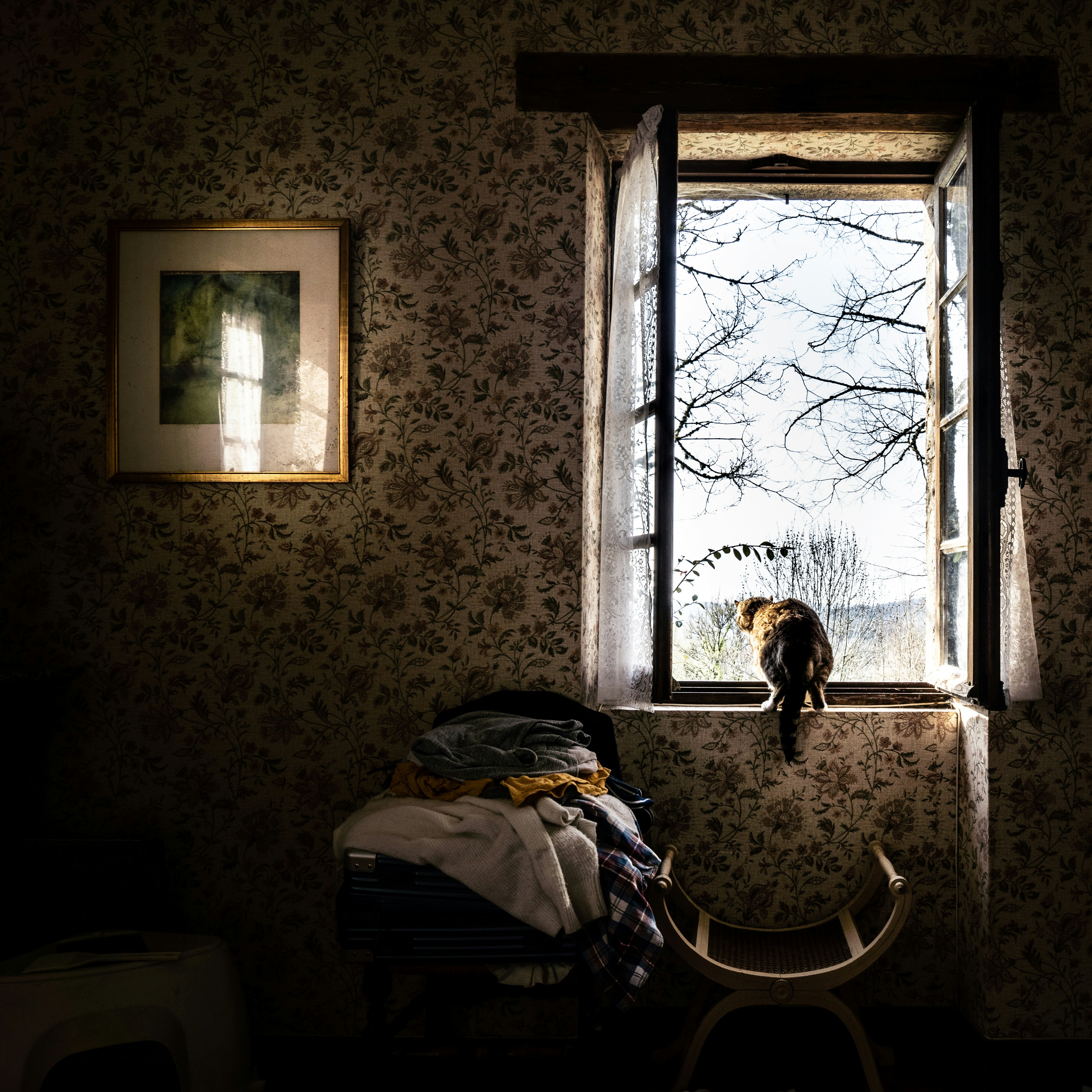 white and black stroller beside white window curtain