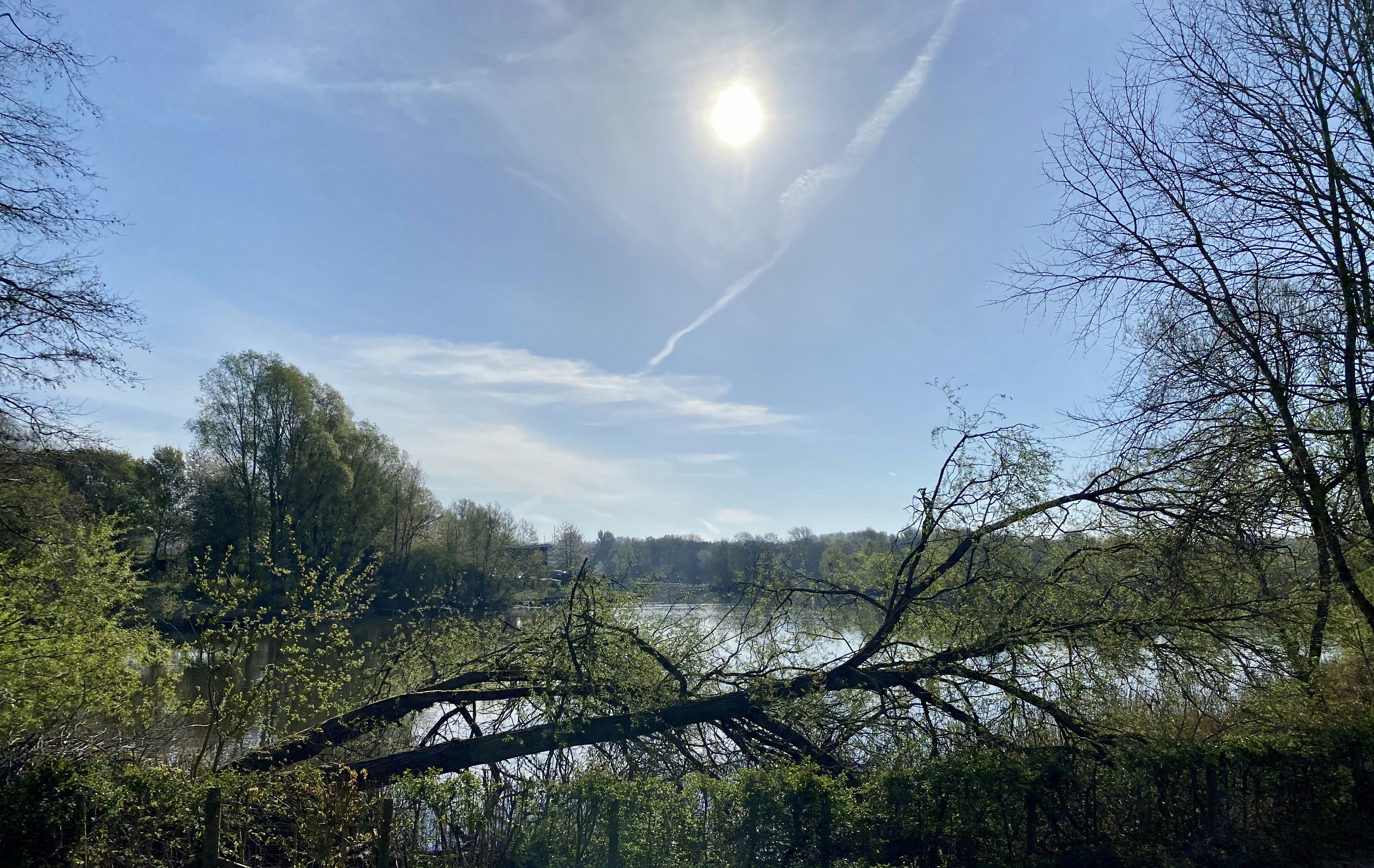 Expat Guide to Living in Redditch (2026)