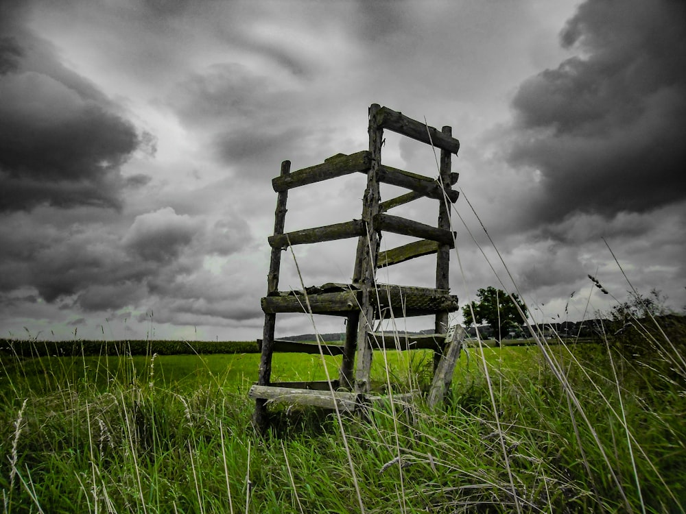 brown wooden ladder on green grass field under gray clouds