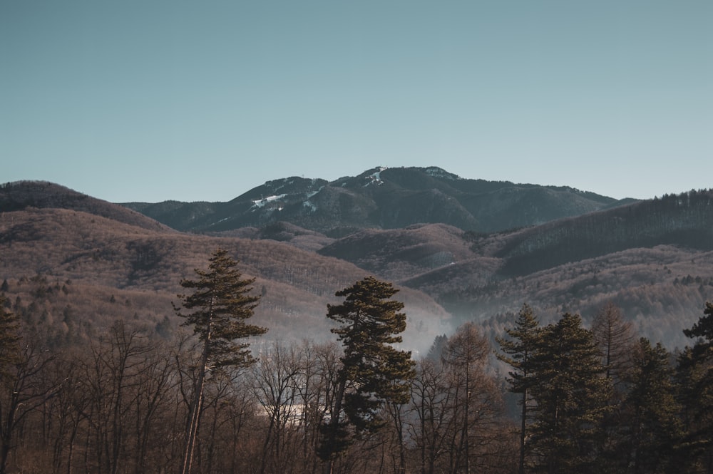 a view of a mountain range with trees in the foreground