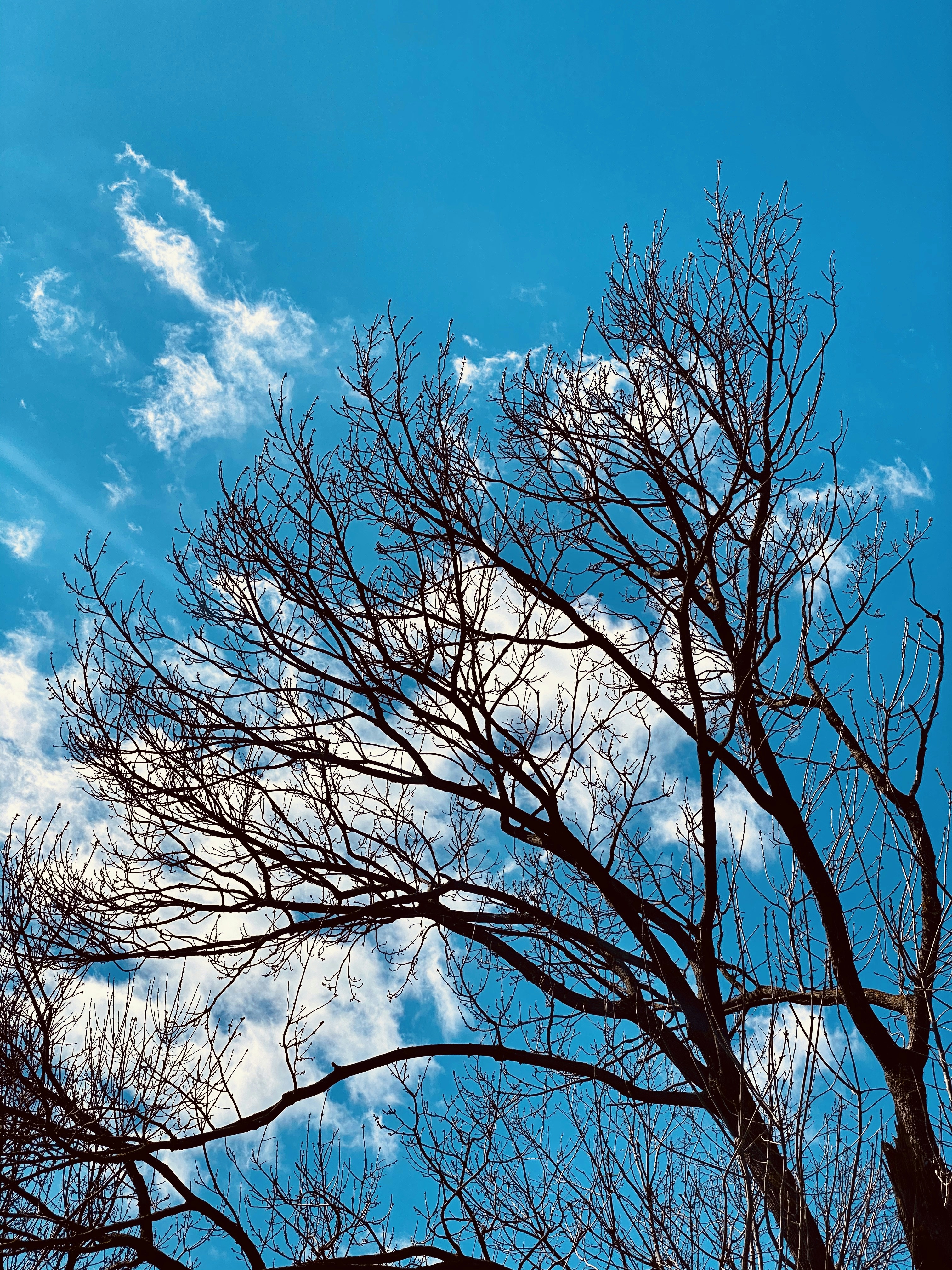 Photo by sarurobert1