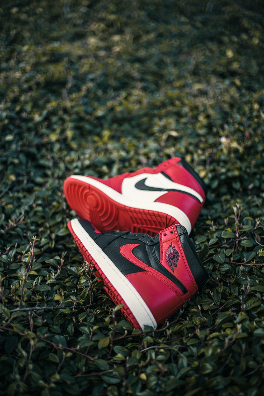 red and white nike basketball shoes on green grass