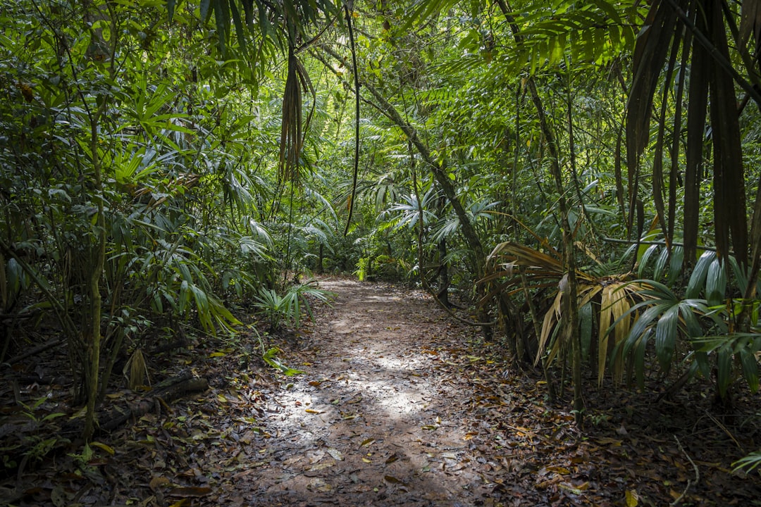 Journey to Xibalba: Taking the Plunge into the Maya Underworld - Go… — Journey to Xibalba