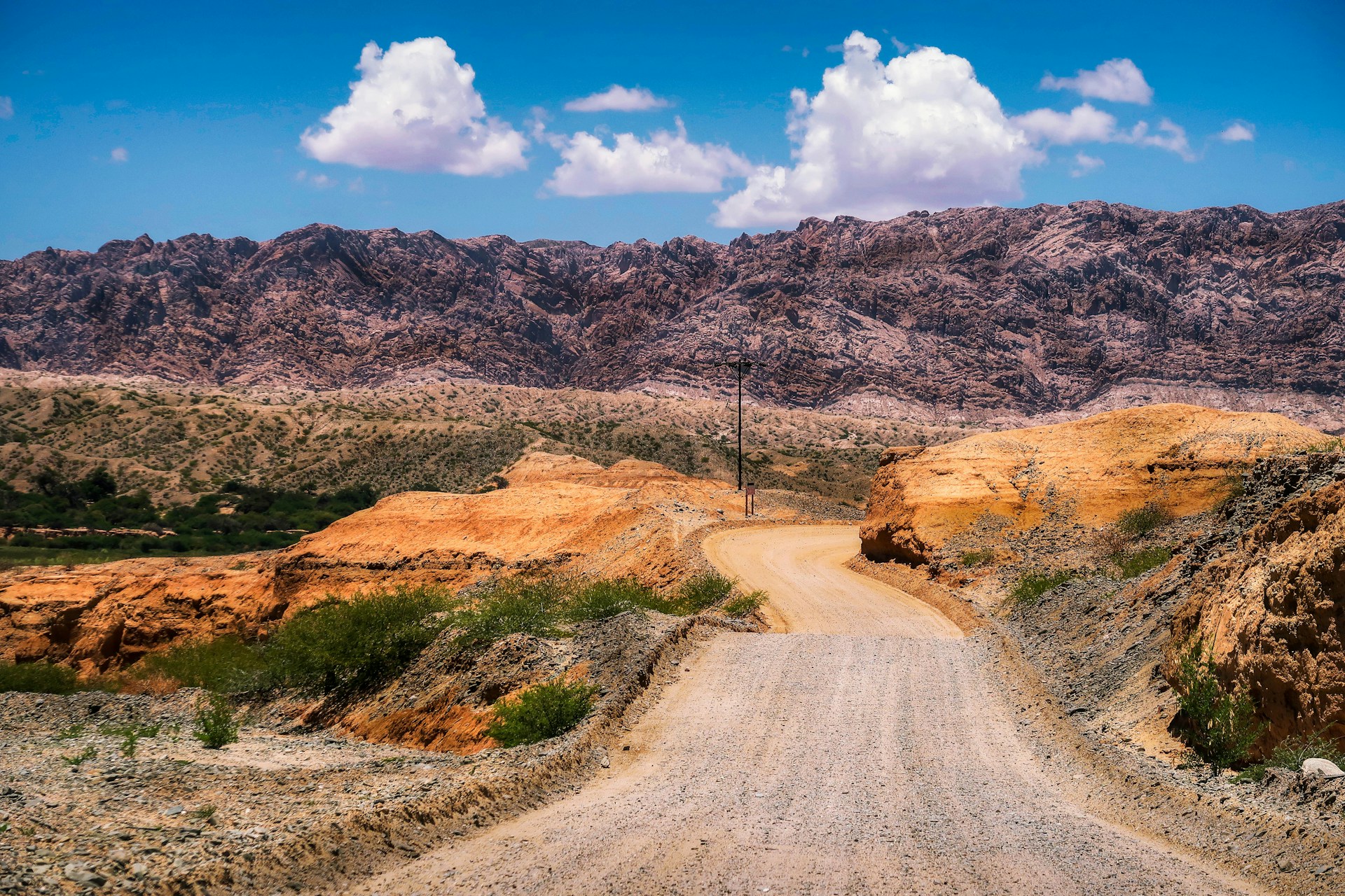 Close-up of a dusty dirt track winding through red desert landscapes, framed by wild eucalyptus trees under a bright blue sky.
