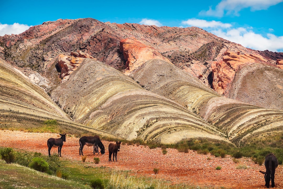 Badlands photo spot Jujuy Purmamarca