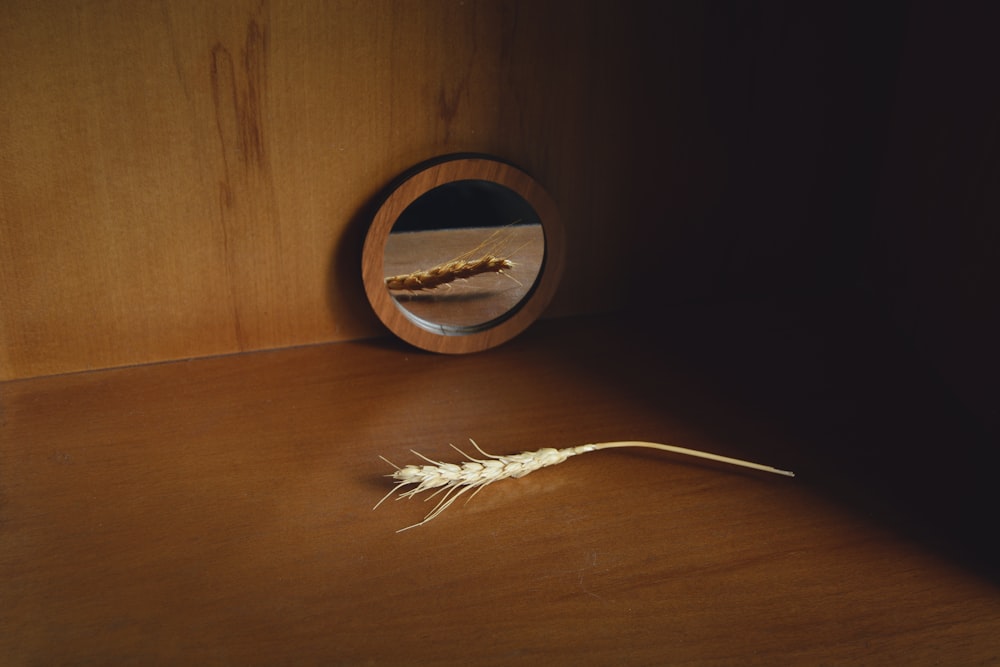 茶色の木製の丸いフレームに白い羽根