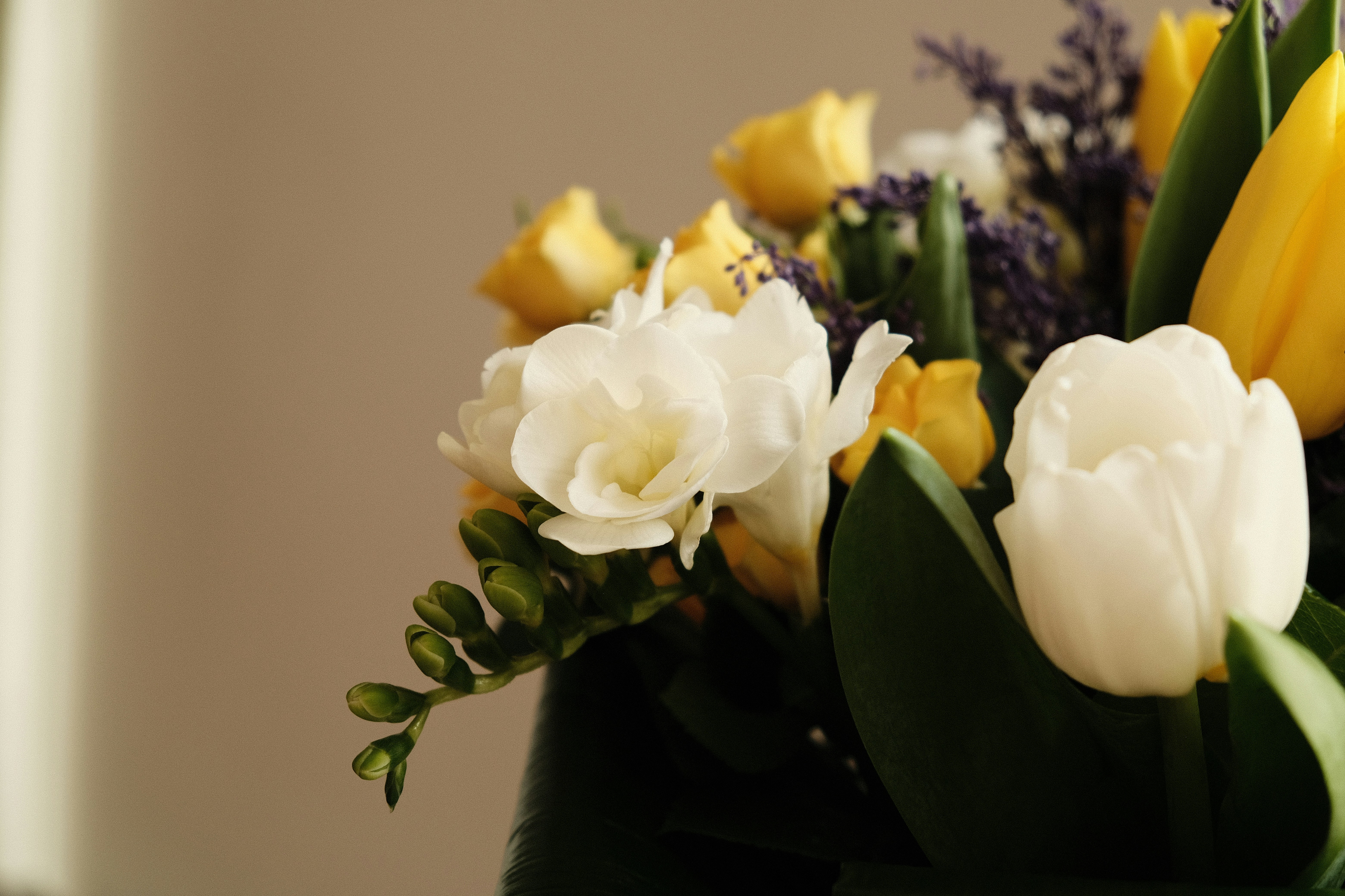 Photo by lorenaschmidt