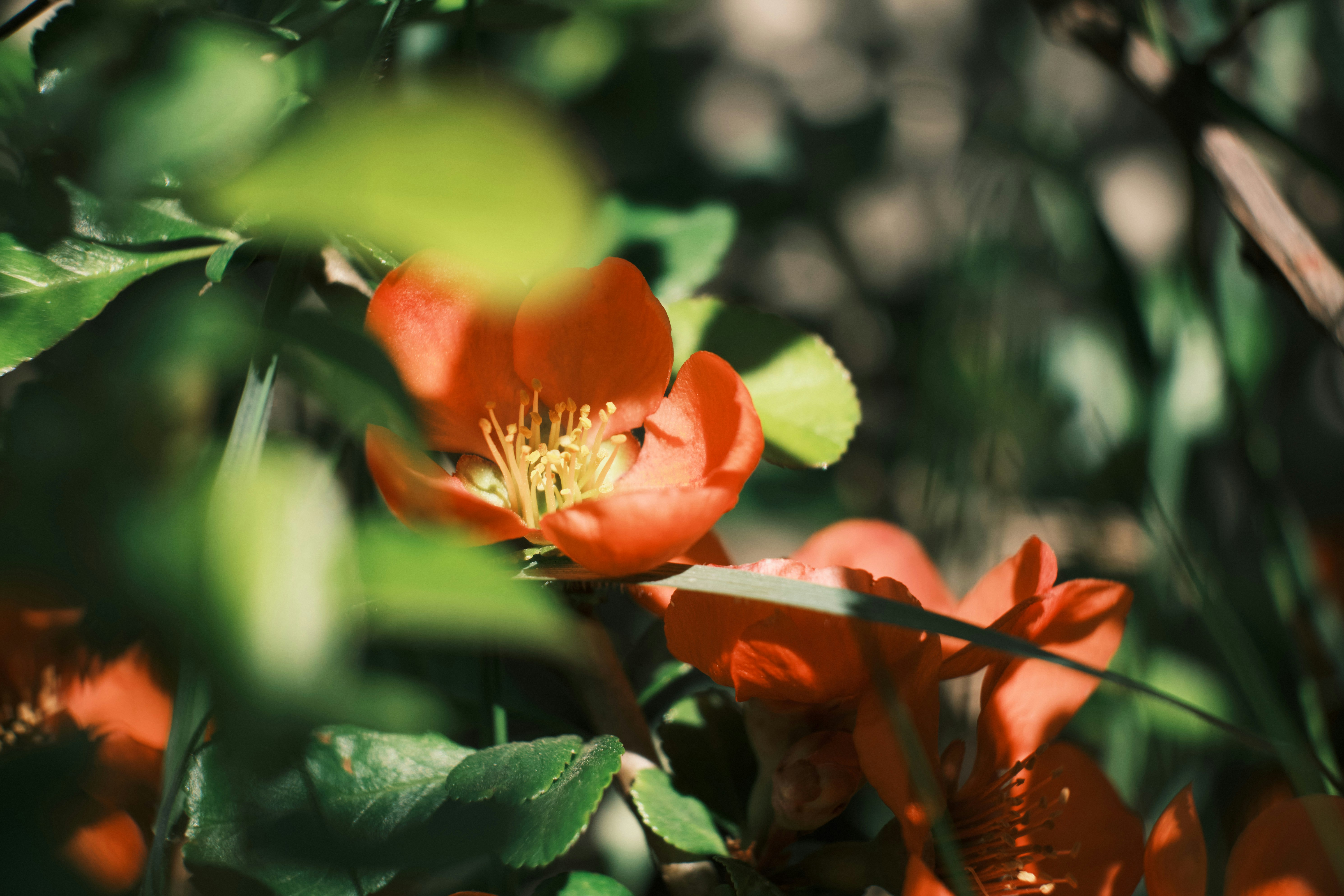 Photo by lorenaschmidt