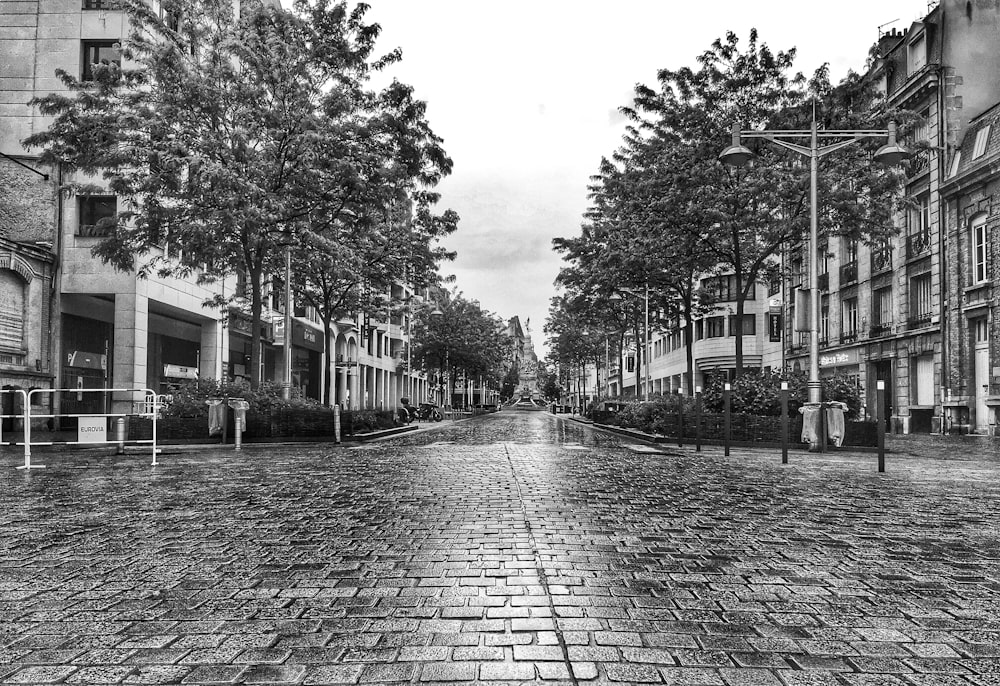 grayscale photo of pathway between trees