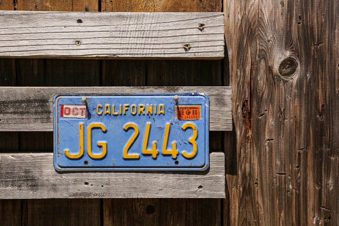 We stayed at a ranch in the hills above Mendocino a few months back, and they had a nice random assortment of decorations. This "old" California plate hung on their chicken coop.