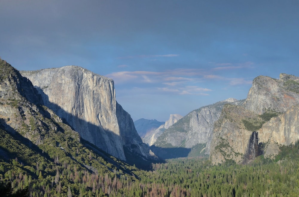 green trees and gray mountains under blue sky during daytime