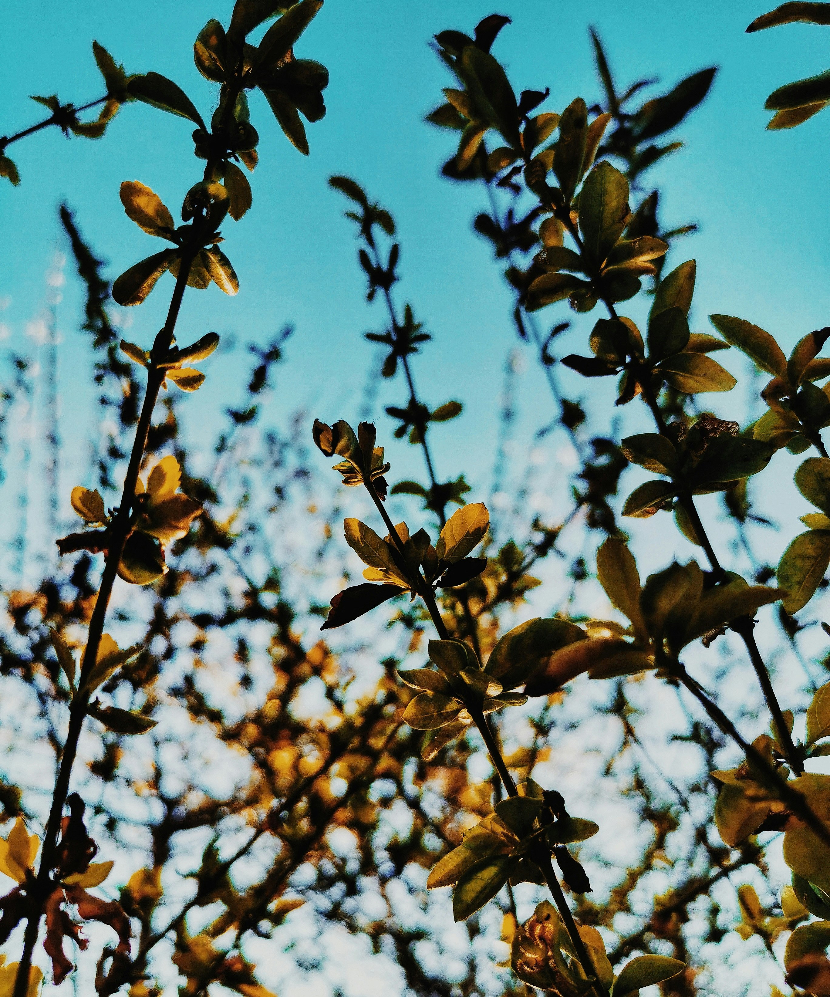 Photo by aguebrambila