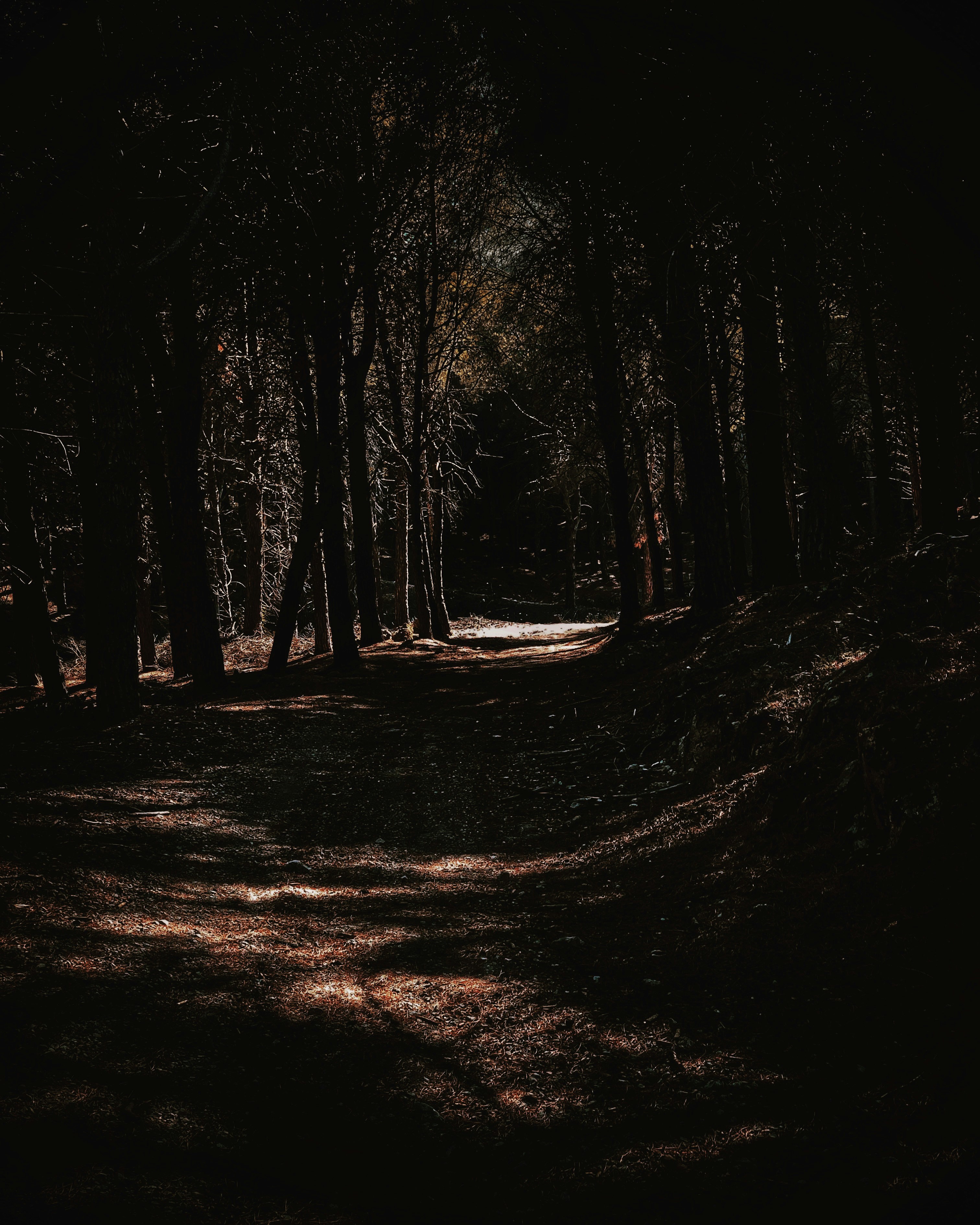 Photo by stefanocampisi_