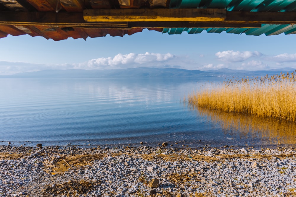 brown and green wooden boat on sea during daytime