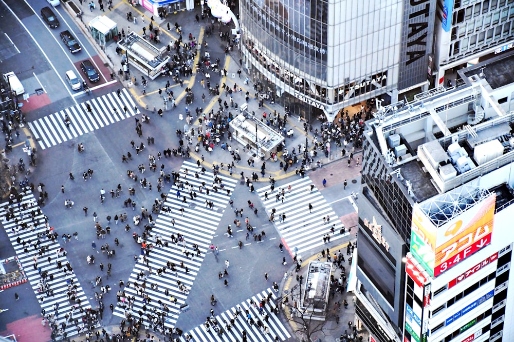 aerial view of city buildings during daytime