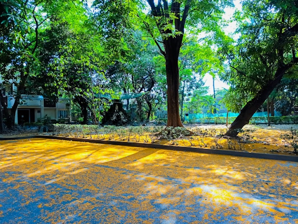A serene view of the Shri Arvind Society's peaceful garden with morning sunlight filtering through trees.