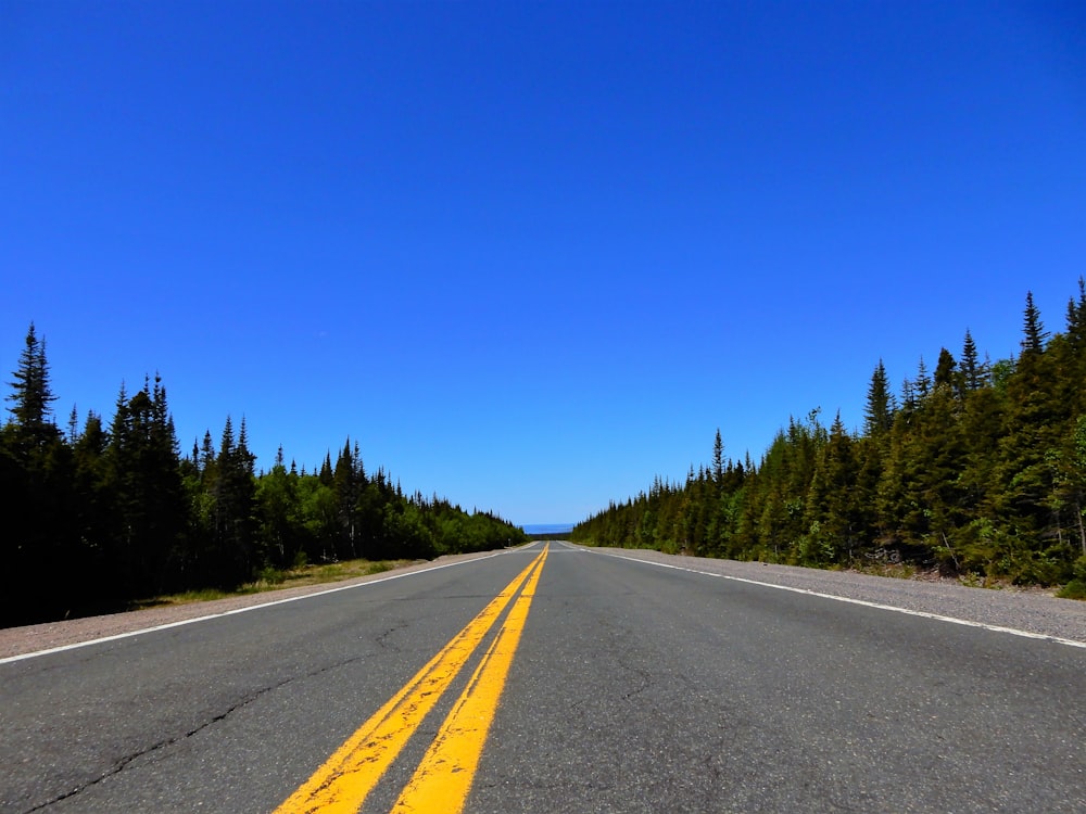 gray concrete road between green trees under blue sky during daytime