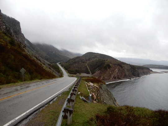 gray concrete road near body of water during daytime in Cape Breton Island Canada