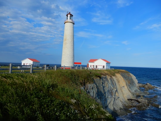 white and brown lighthouse on brown rock formation under blue sky during daytime in Cap-des-Rosiers Lighthouse Canada