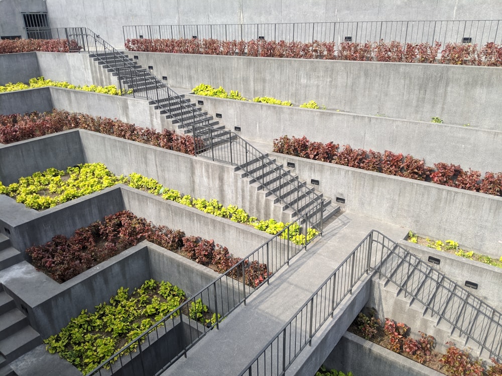 yellow flowers on gray concrete fence