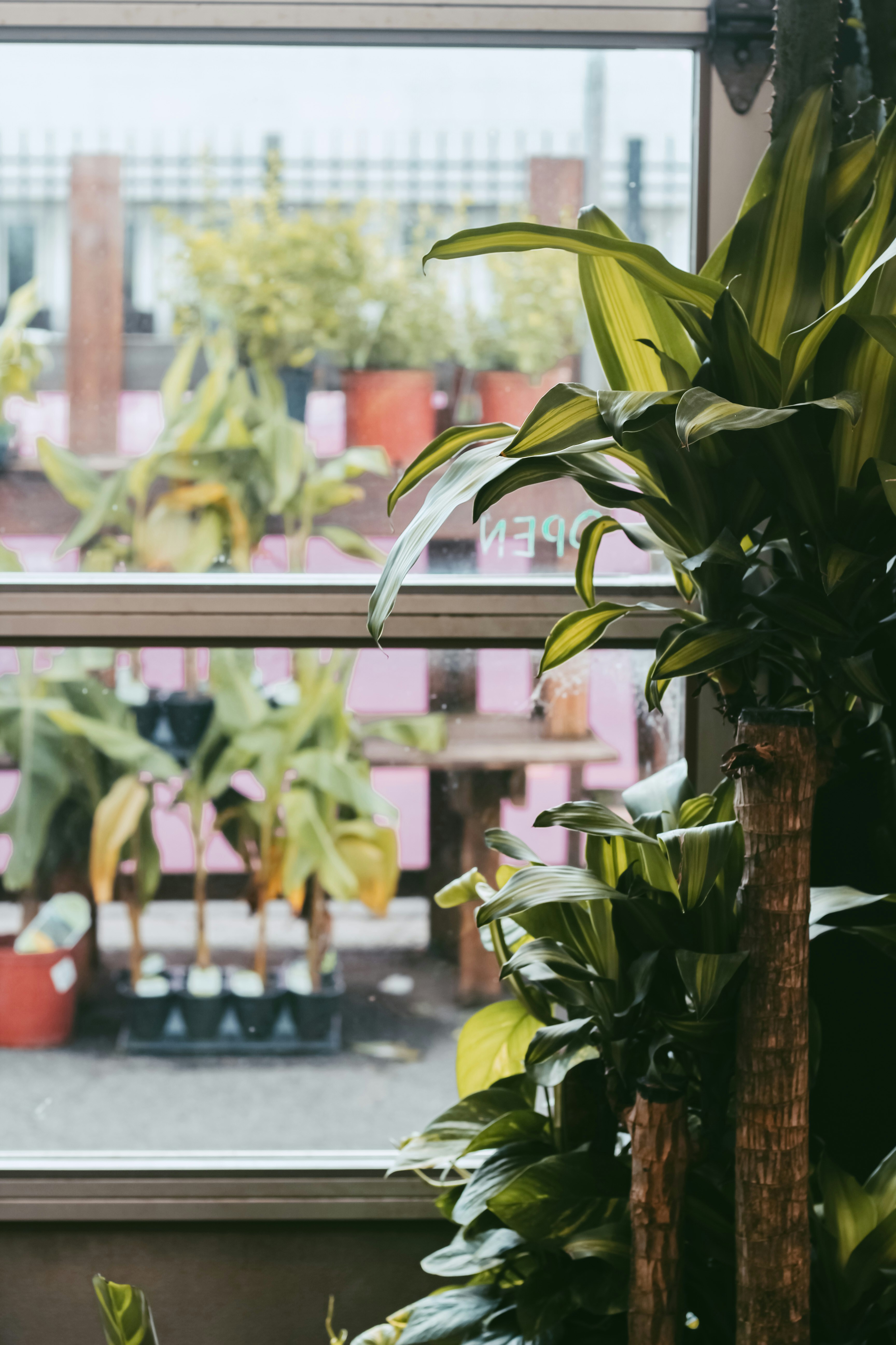 Photo by mariatakesphotos