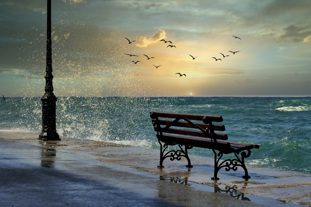 silhouette of bench on beach during sunset