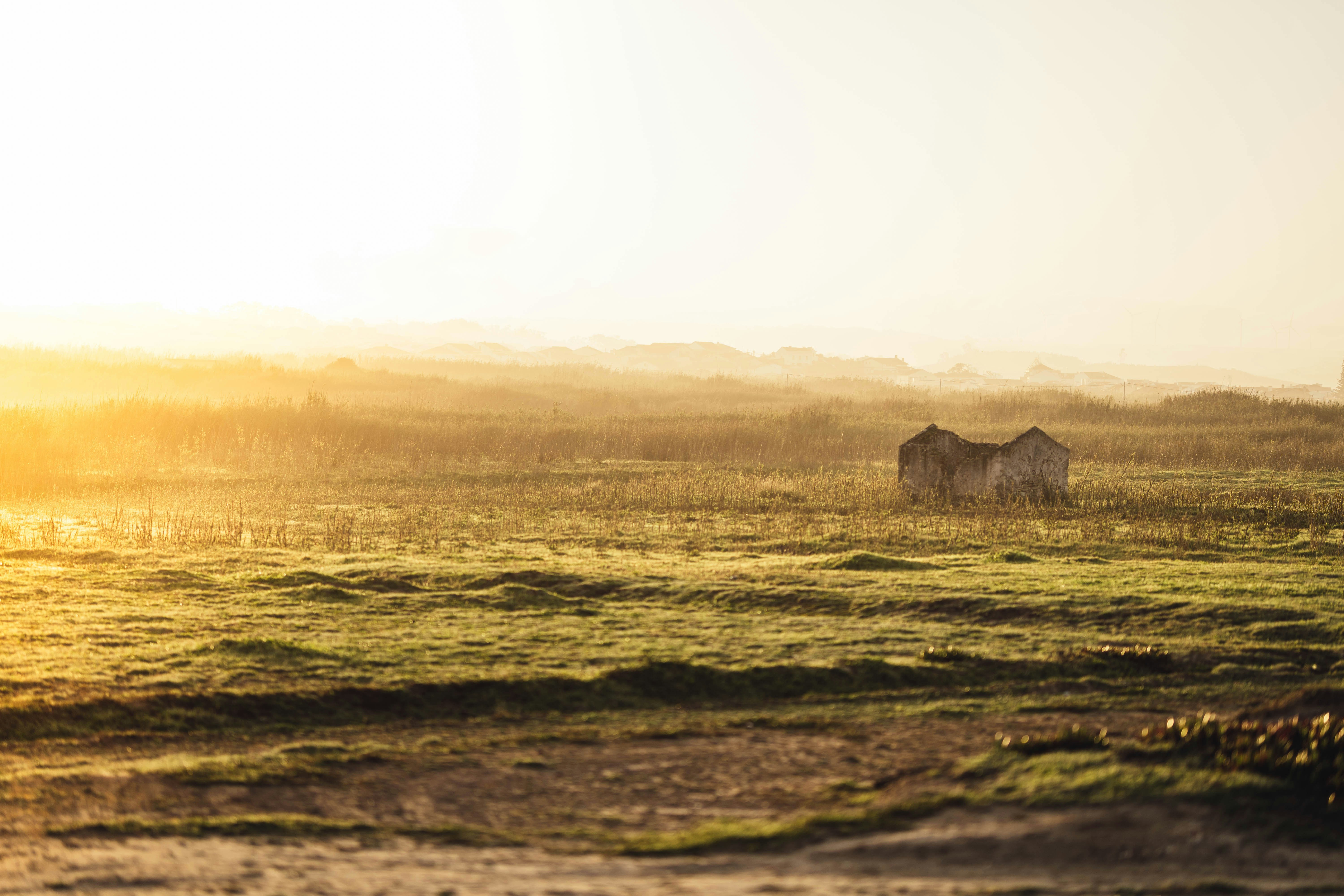 Photo by alexandernaglestad