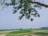 Photo of a farmer holding rich soil with green crops in the background under a clear sky.