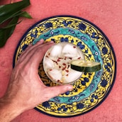 person holding blue and white ceramic bowl with ice cream