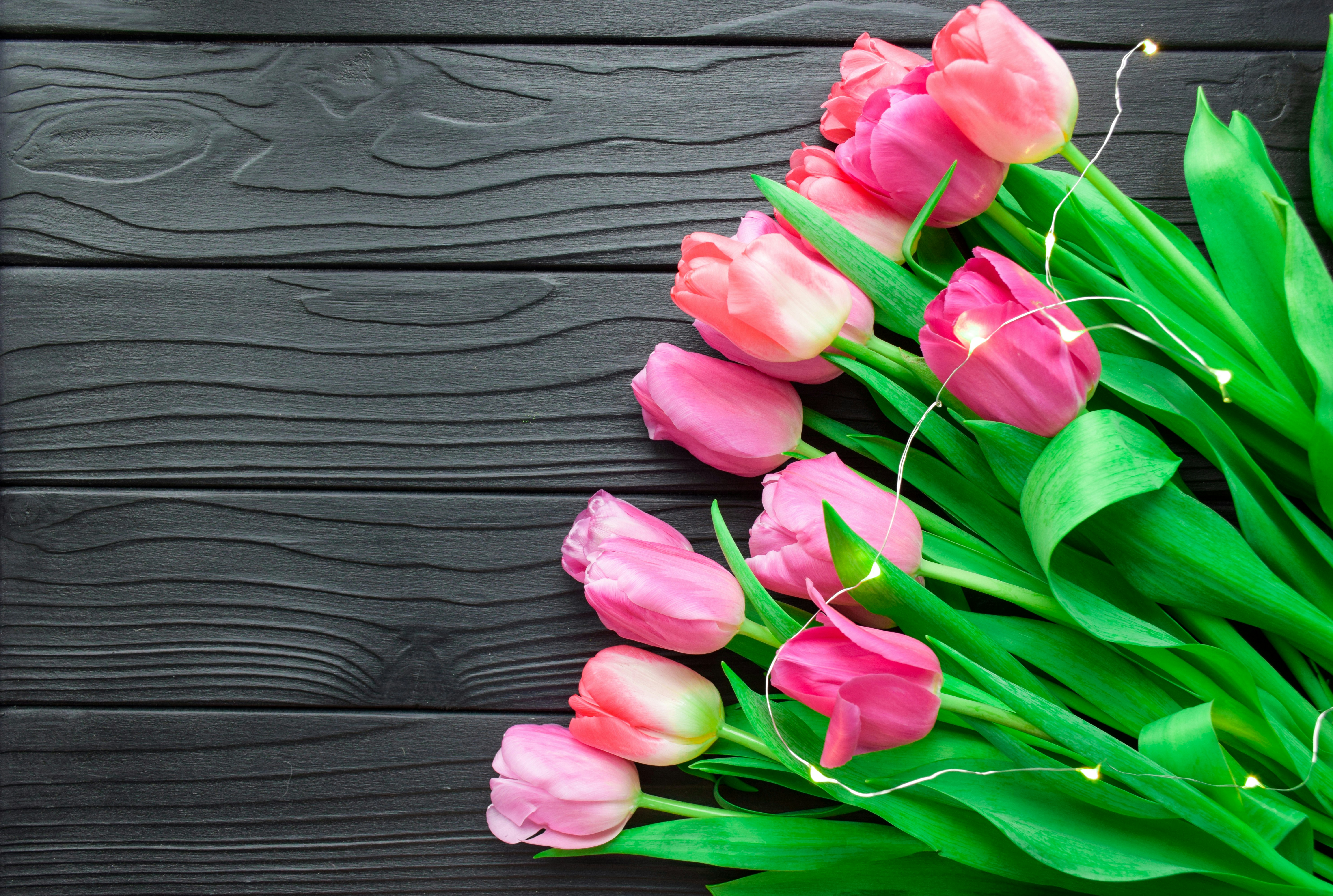 Photo by catiaclimovich