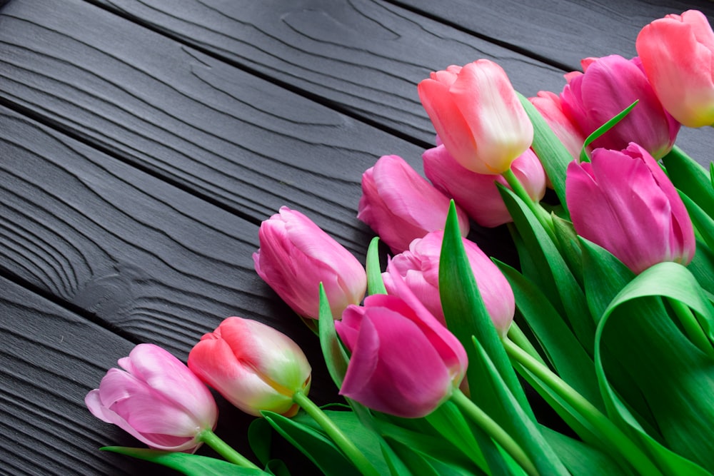 tulipas cor-de-rosa na superfície de madeira cinzenta