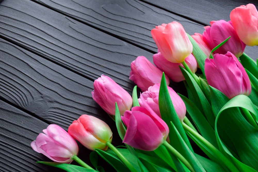 pink tulips on gray wooden surface