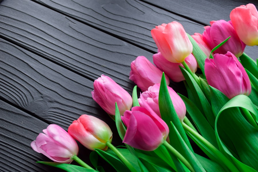 Bó Tulip Hồng Ngọt Ngào