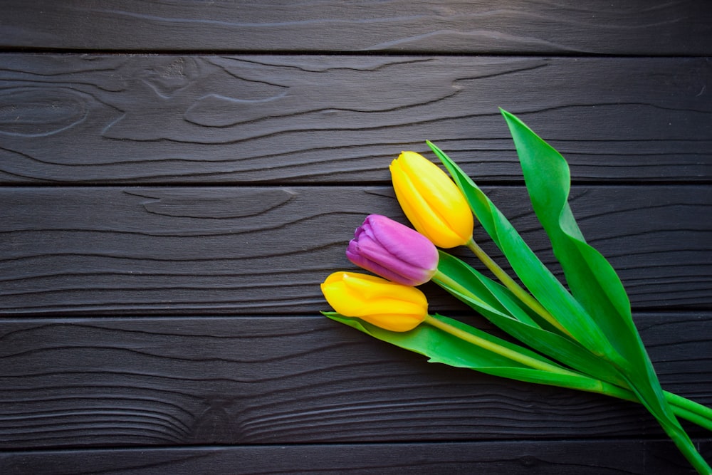 yellow and purple tulips on brown wooden surface