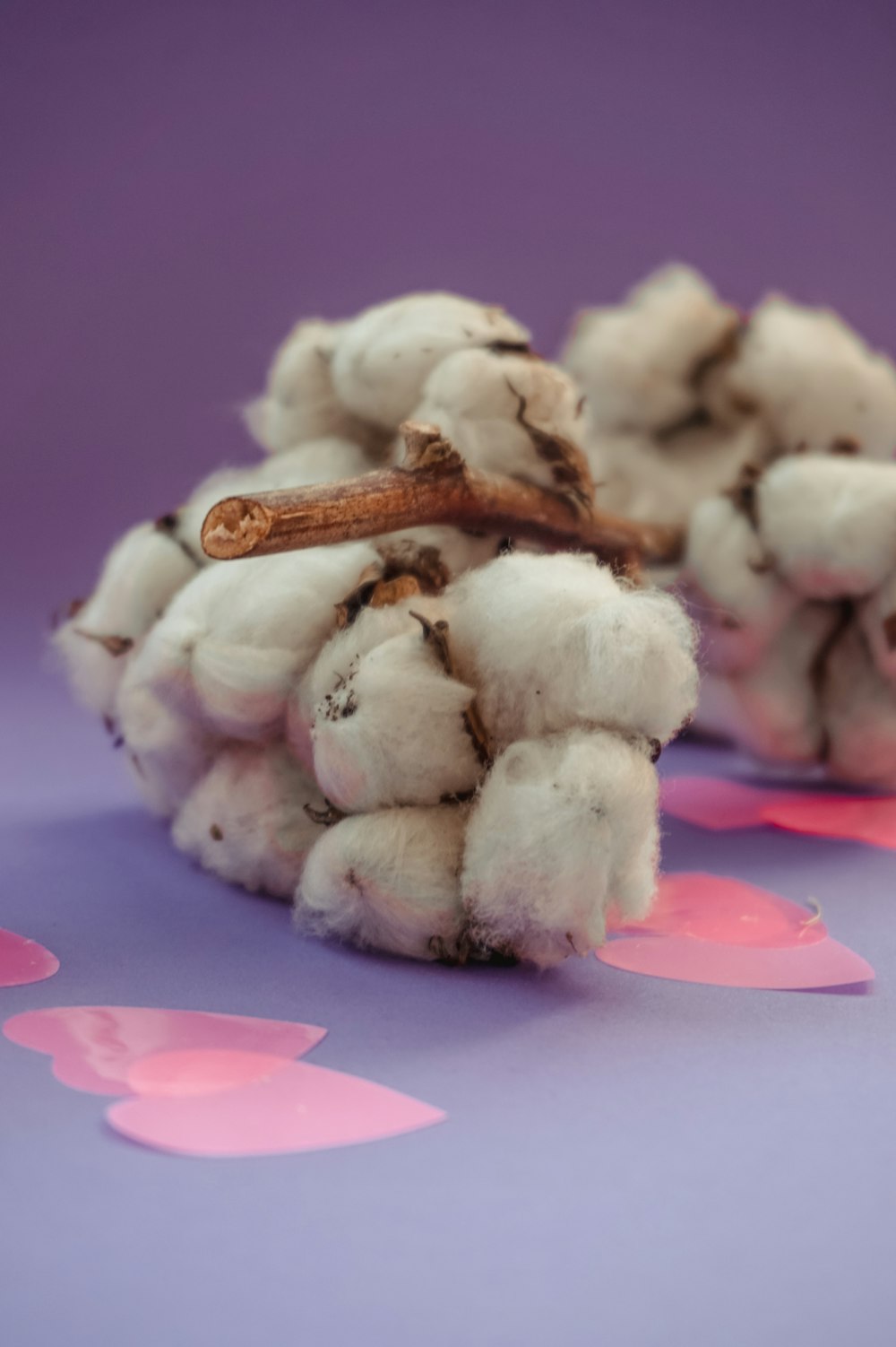 white cotton on pink plate