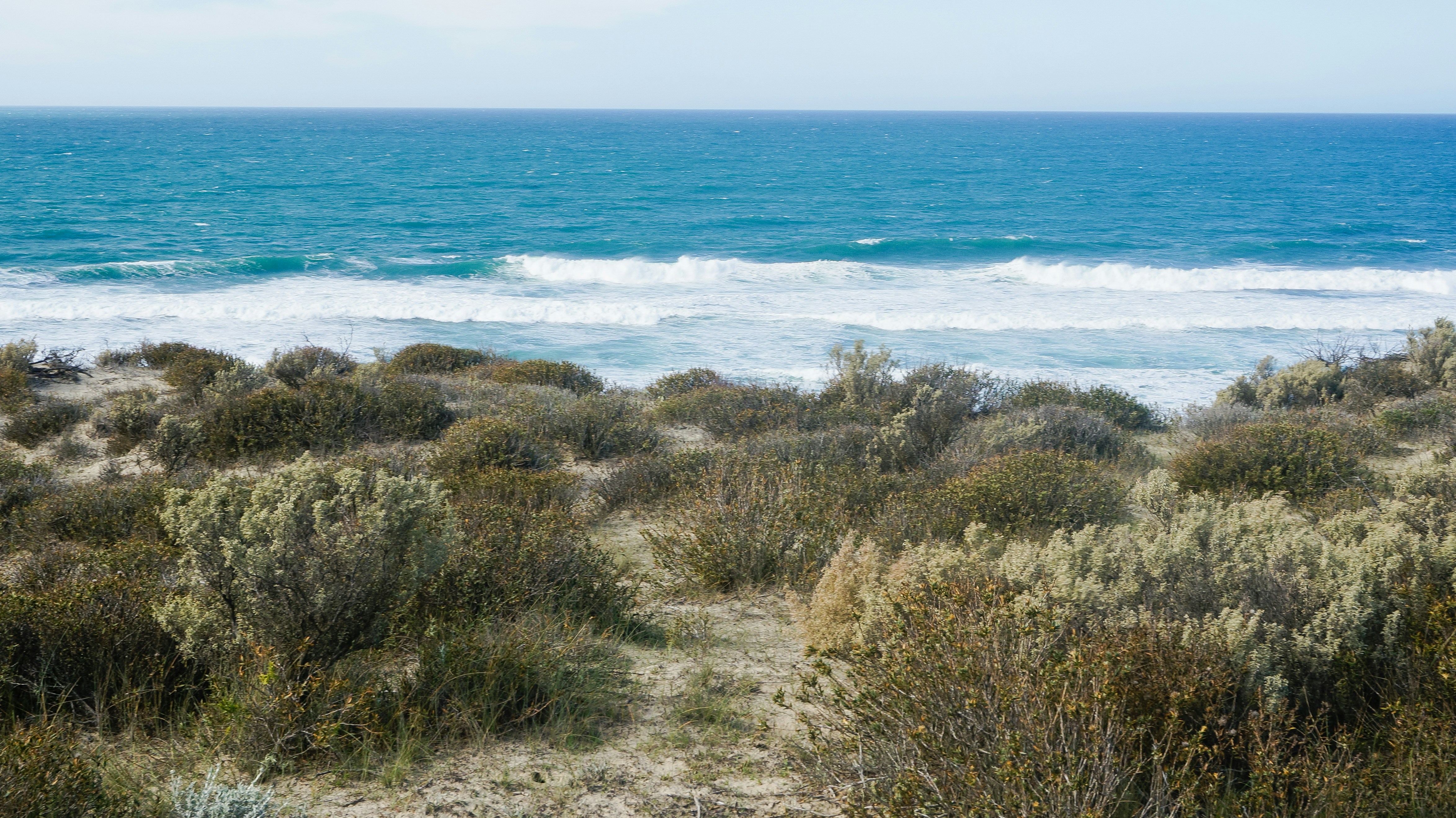 Puerto Madryn, Argentina - Patagonian beach sight