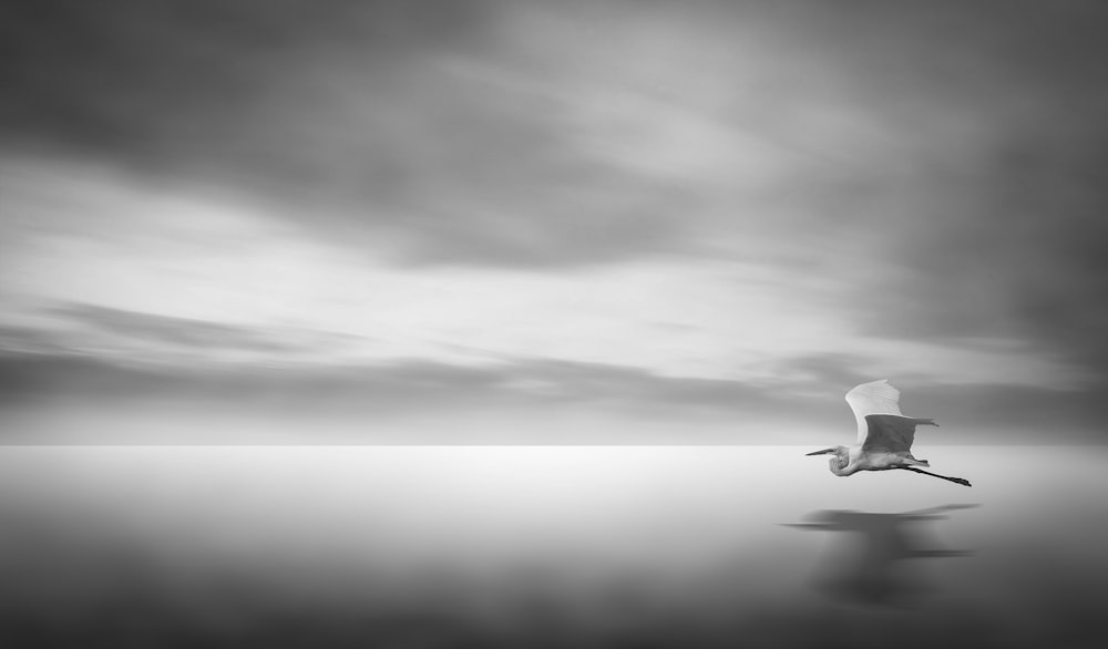 grayscale photo of airplane flying over the clouds