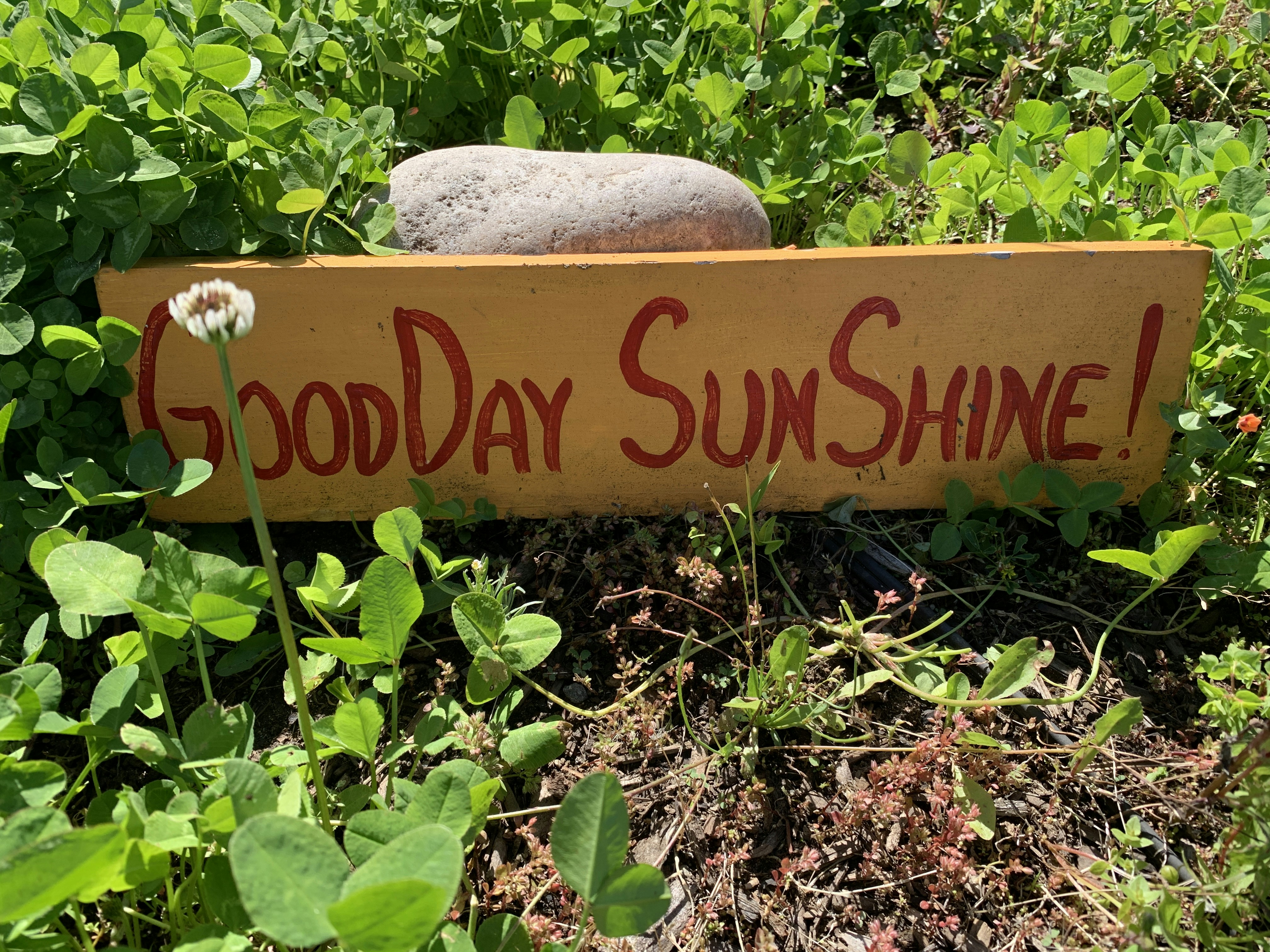 photo 1586972132354 195b1284f378?ixlib=rb 4.0