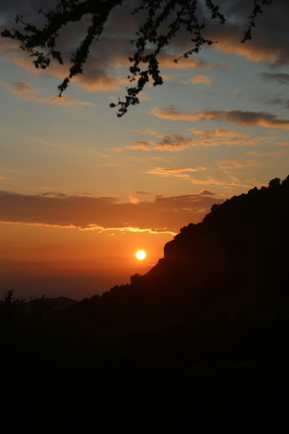 silhouette of trees during sunset