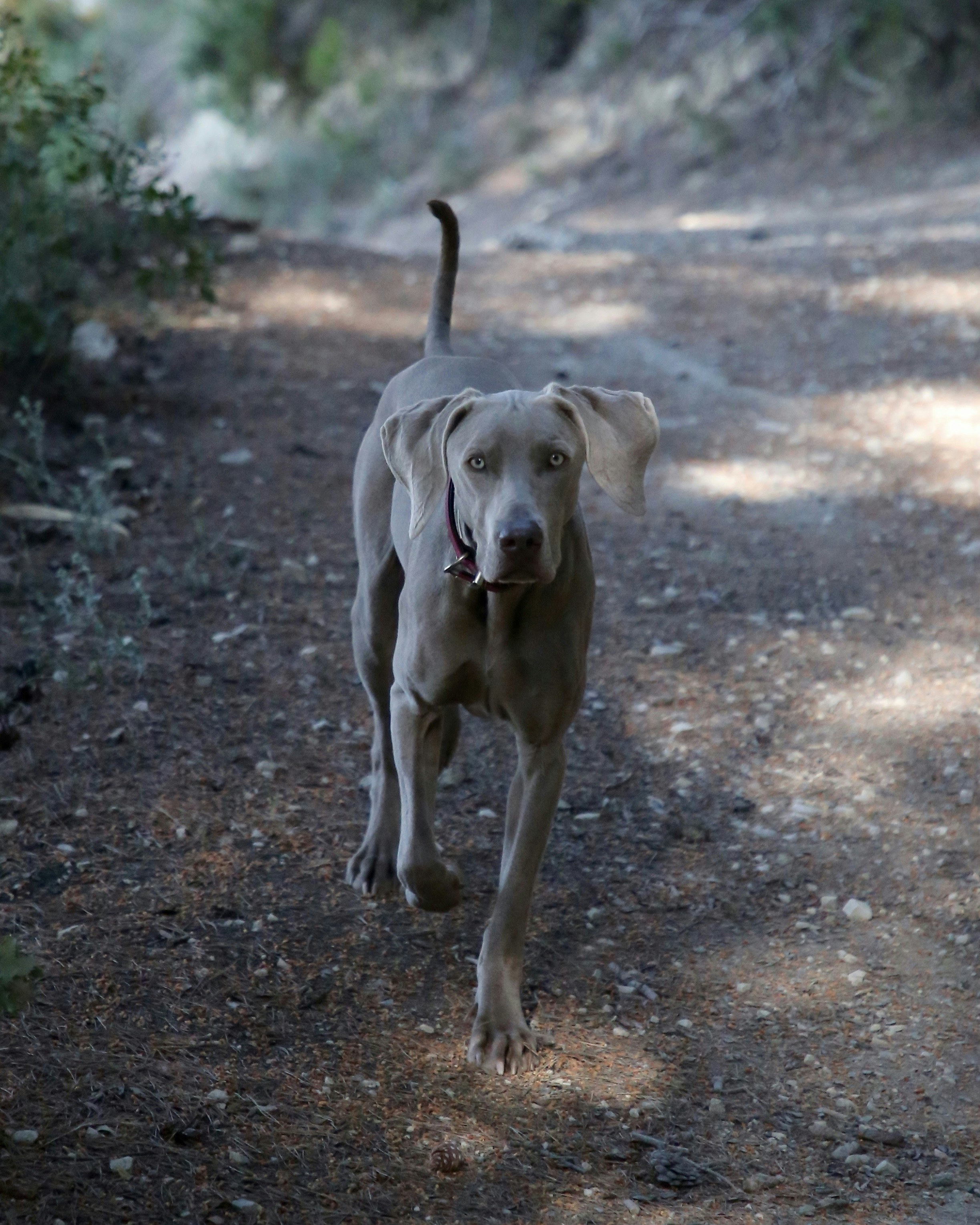 Photo by nathalie_spehner