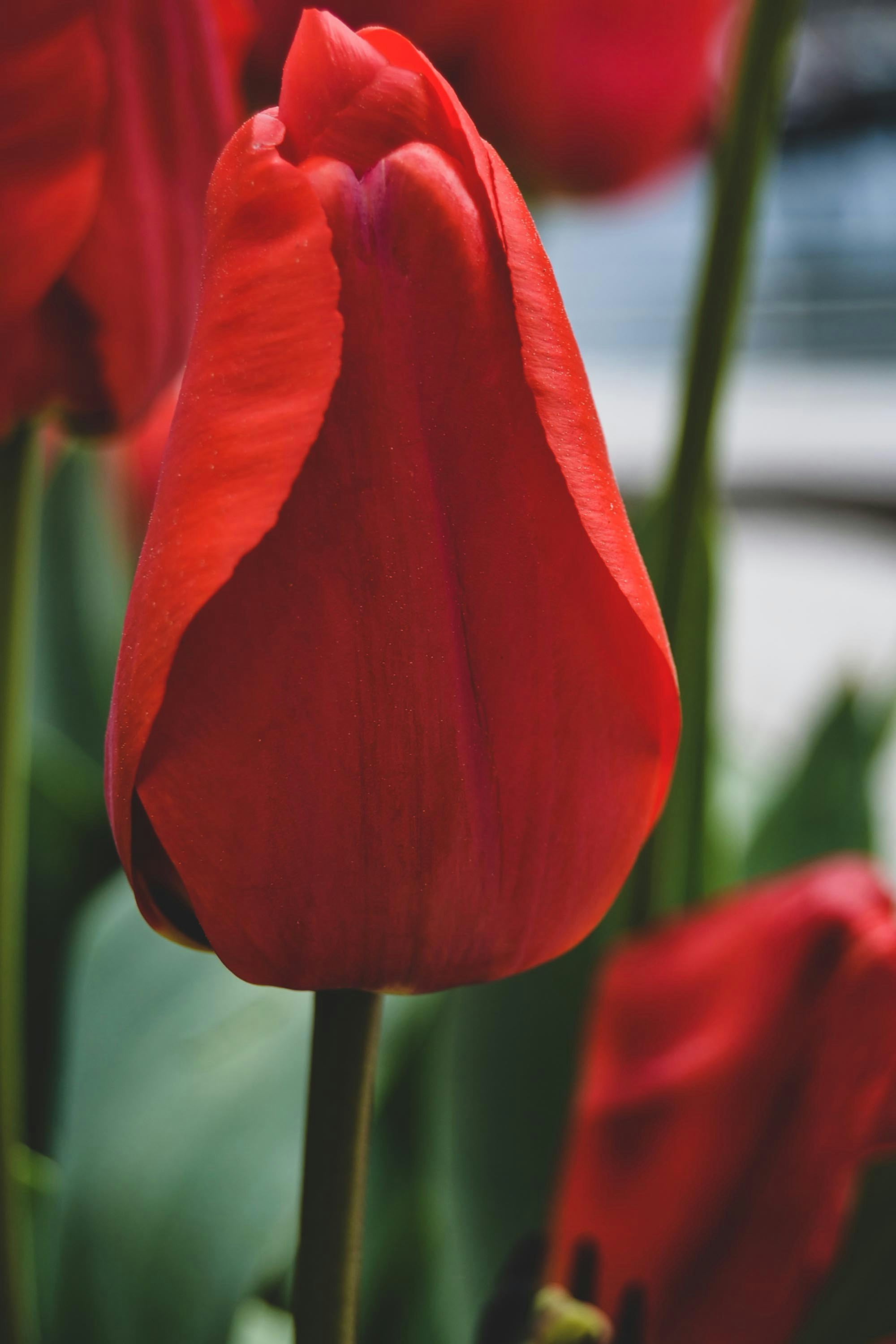 Photo by dijitalbutik