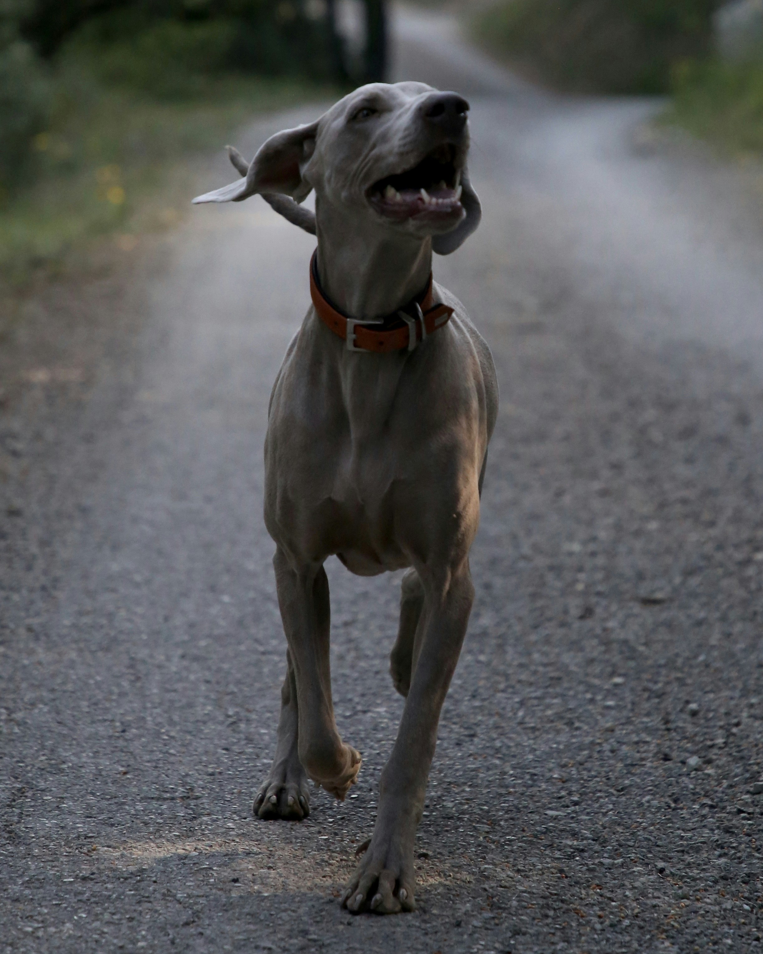 Photo by nathalie_spehner