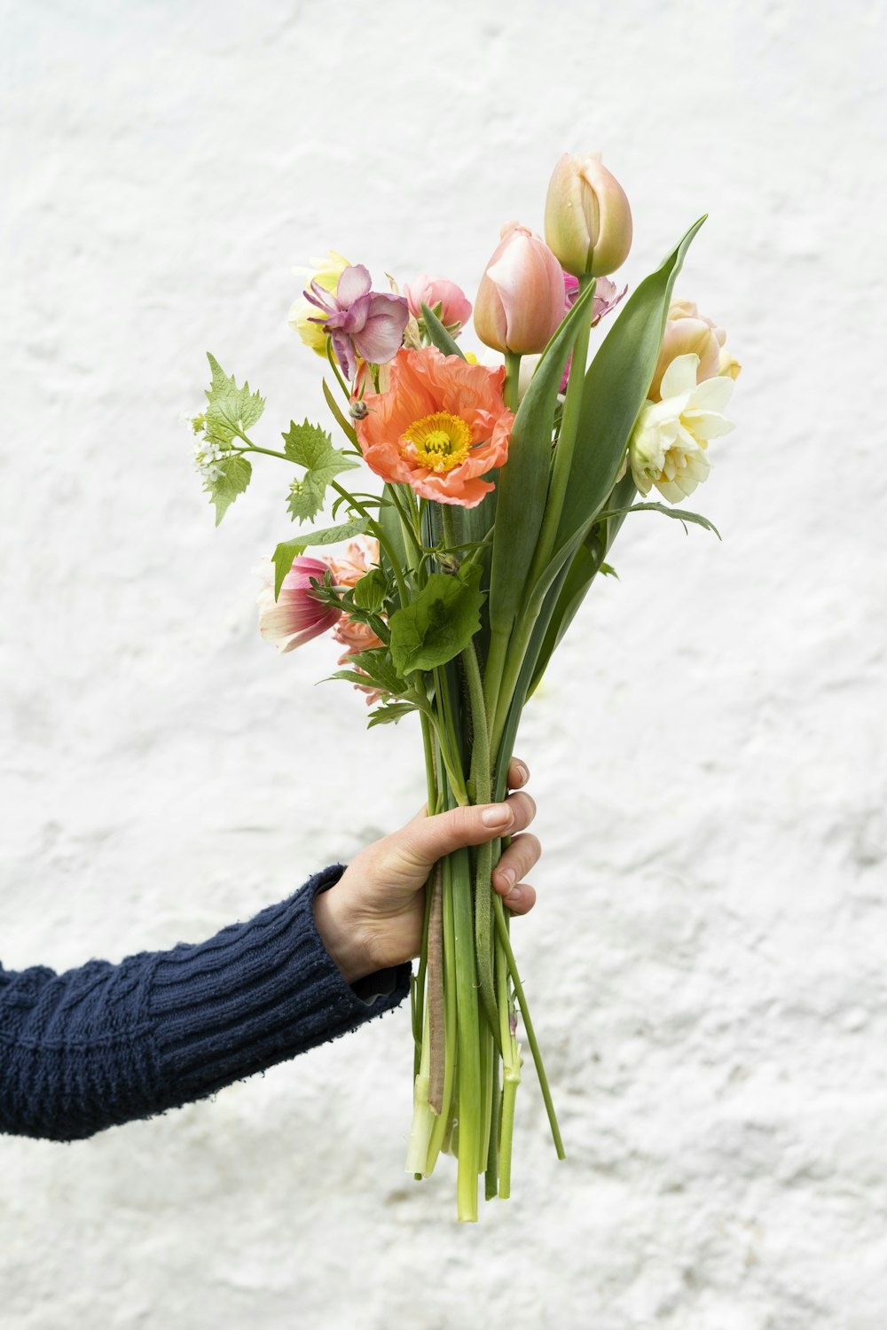 Person holding bouquet of flowers photo – Free Usa Image on Unsplash