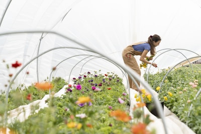 woman in blue t-shirt and brown shorts standing on flower field during daytime