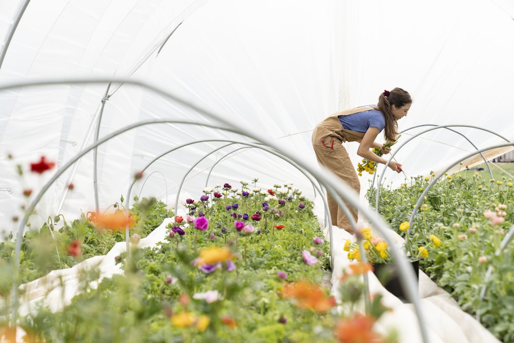 woman in blue t-shirt and brown shorts standing on flower field during daytime