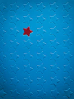 blue and white star print textile