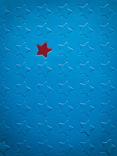 blue and white star print textile