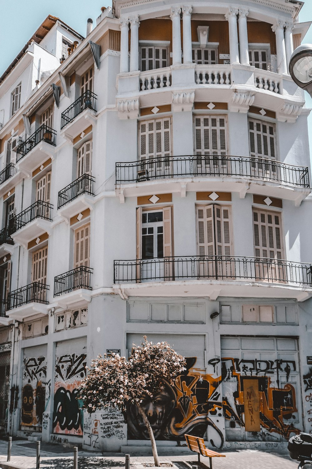 white concrete building with flowers on top